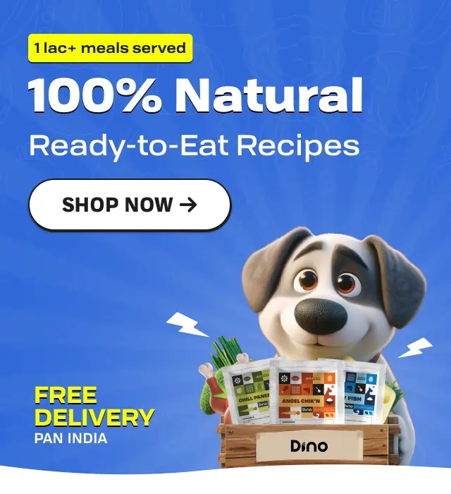 Fresh Dog Food Delivery Pan India