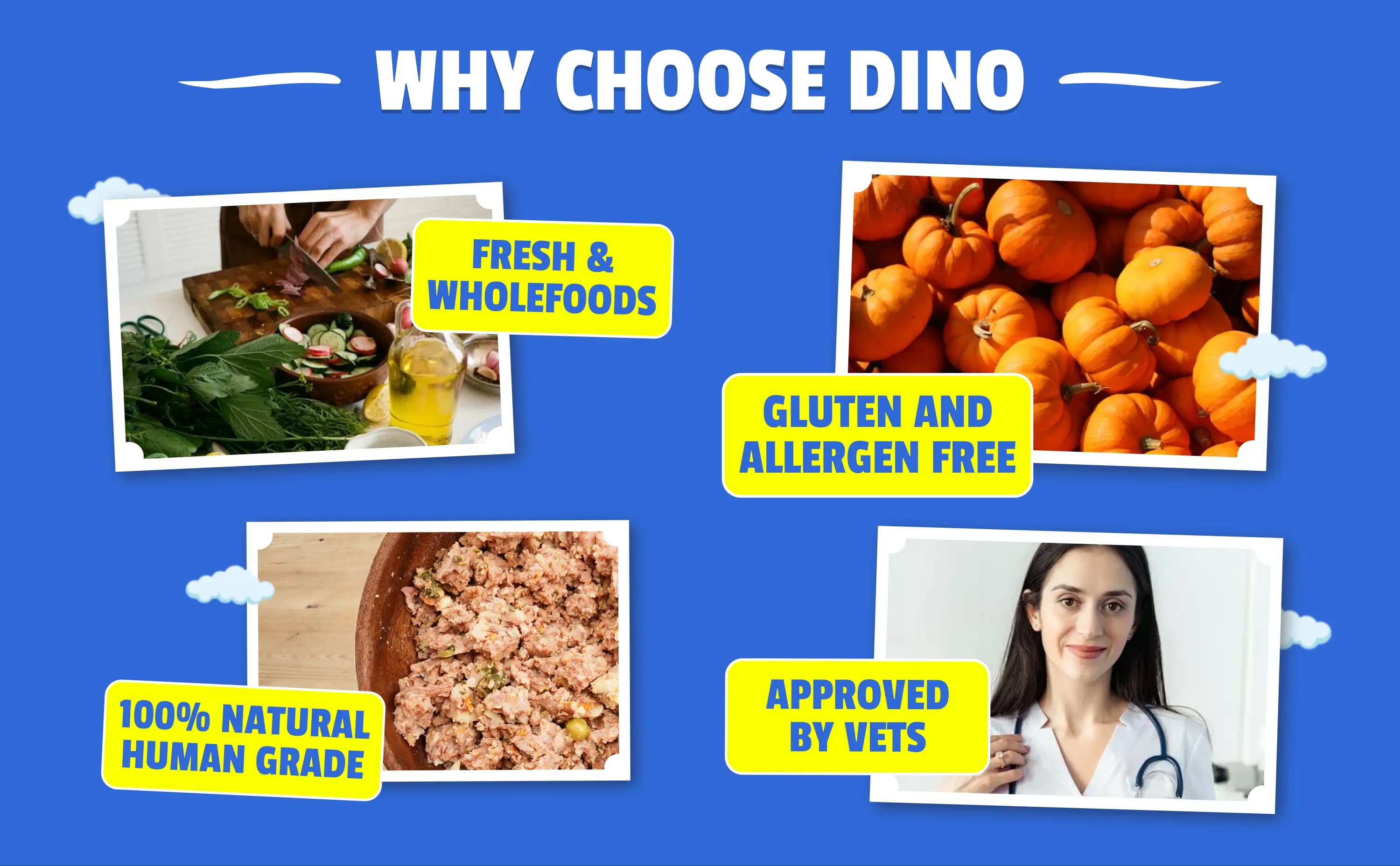 why-choose-dino