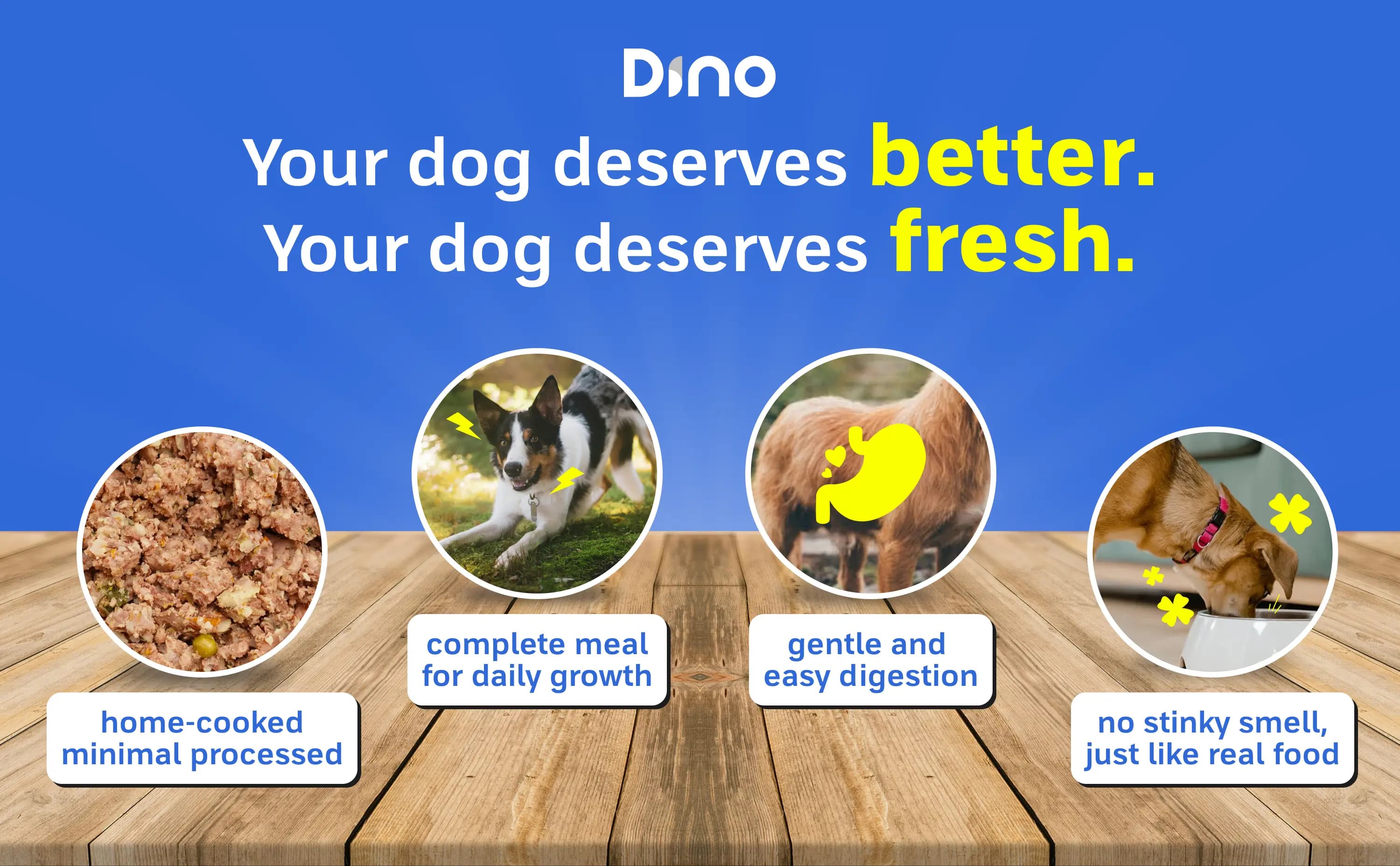 your-dog-deserves-fresh