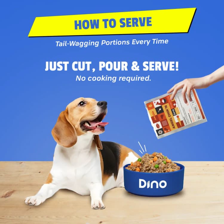 Just cut, pour & serve. Ready to eat dog food without any refrigeration