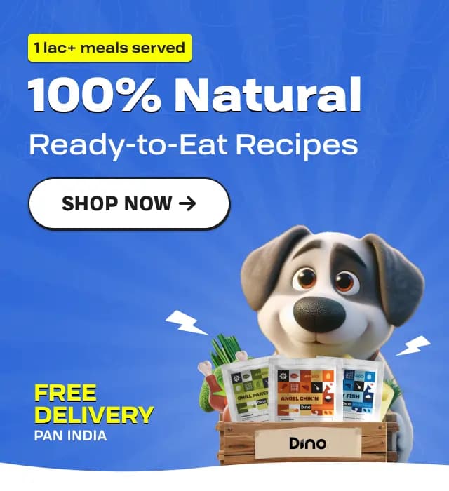 dino-fresh-dog-food.webp