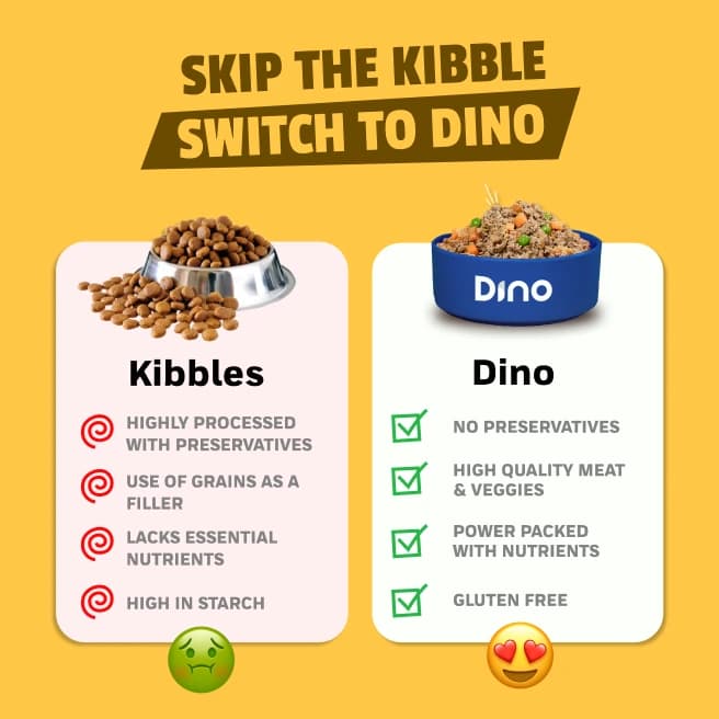 Skip the kibble and switch to Dino