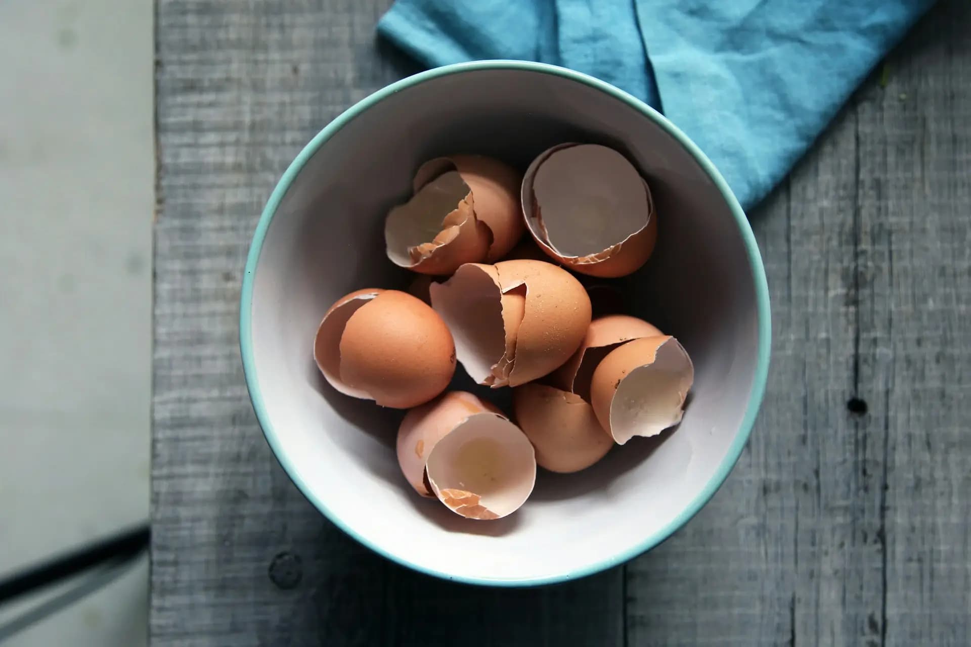 egg-shells.webp