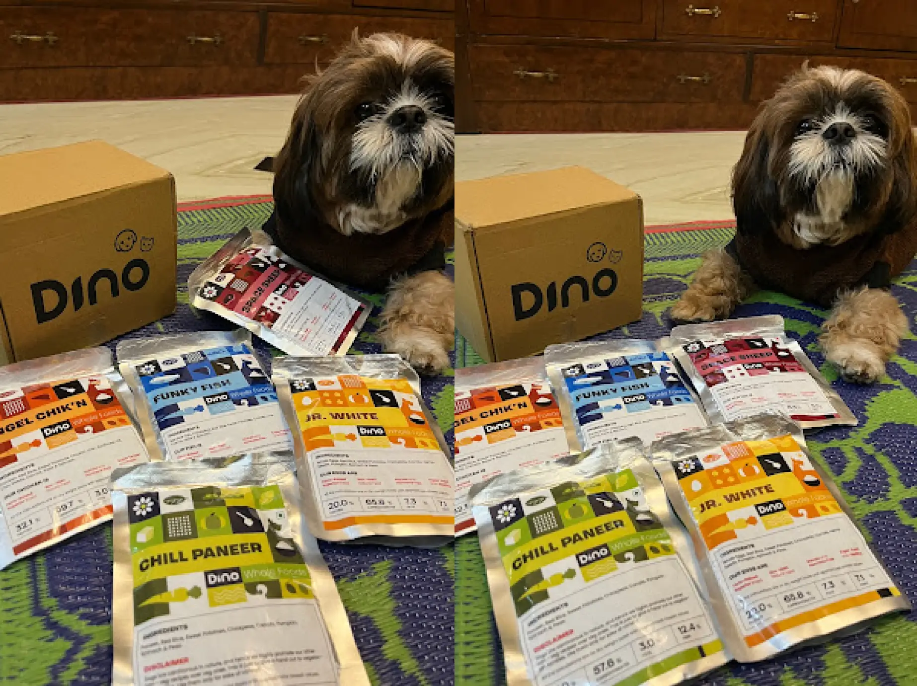 dino-google-review.webp