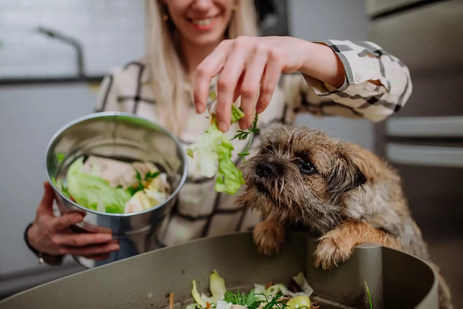 Is Vegetarian Food for Dogs Healthy?