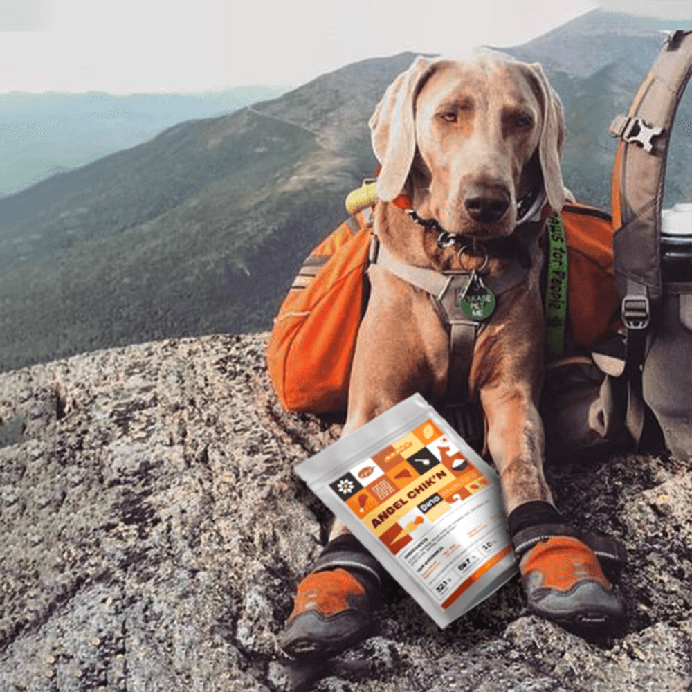 Angel Chik'n - Versatile, easy-to-digest ready to eat pet food meals with chicken