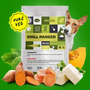 Chill Paneer