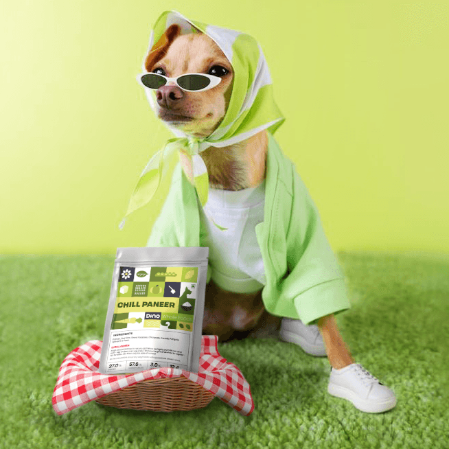 Chill Paneer - Convenient, tasty, human grade, balanced and Vet Recommended Chicken Dog food for pets 