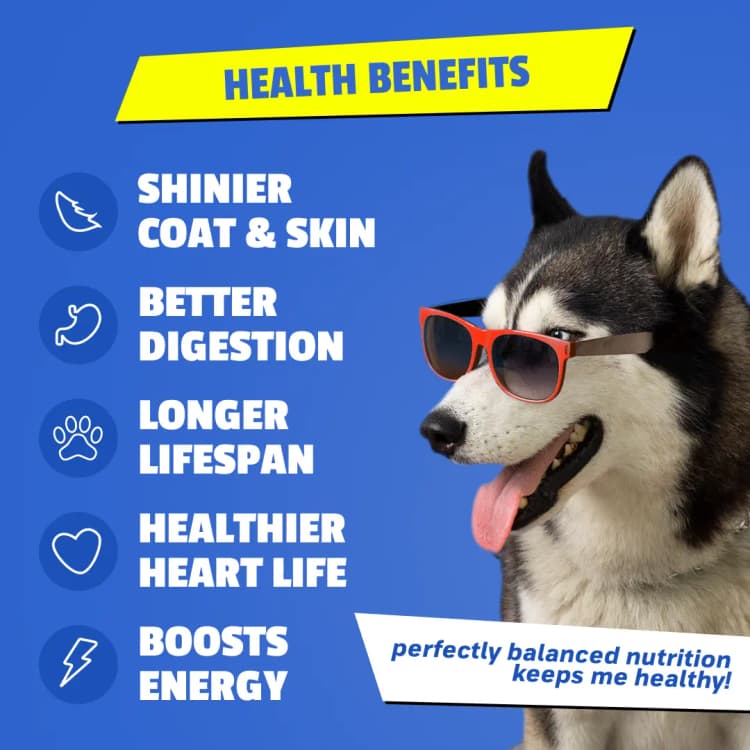 Benefits of Dino fresh dog food