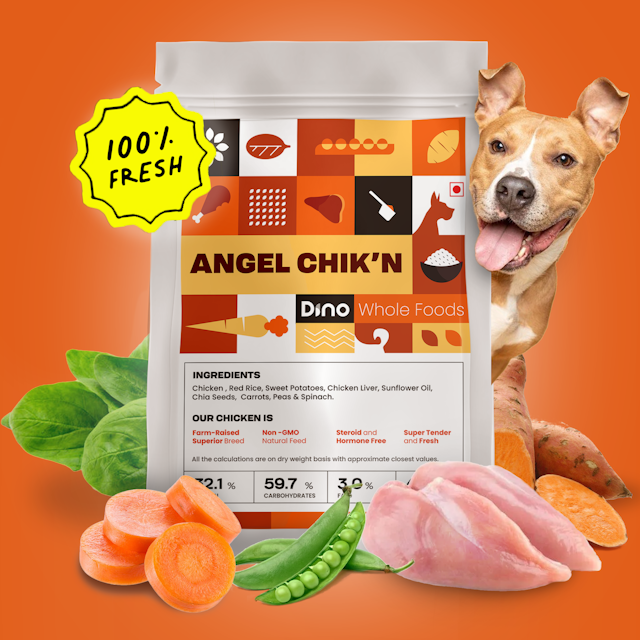 Angel Chik'n - Versatile, easy-to-digest ready to eat pet food meals with chicken