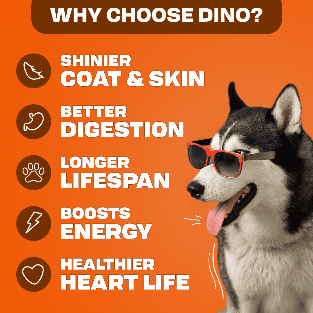 Angel Chik'n - Versatile, easy-to-digest ready to eat pet food meals with chicken