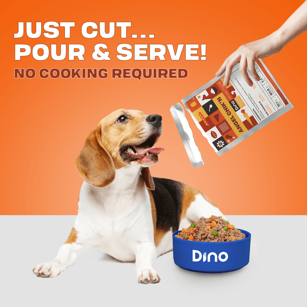 Angel Chik'n - Versatile, easy-to-digest ready to eat pet food meals with chicken