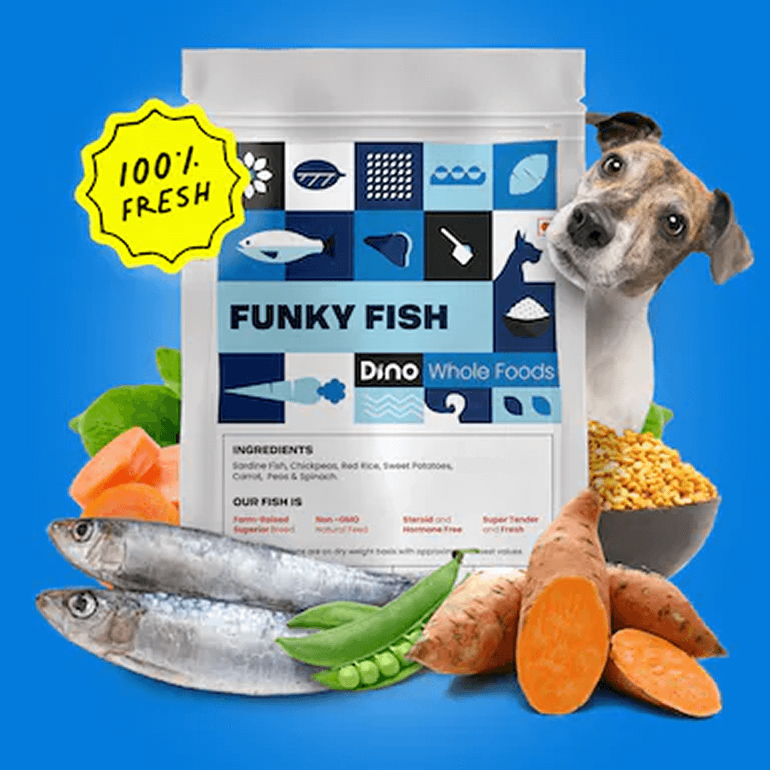 Funky Fish 