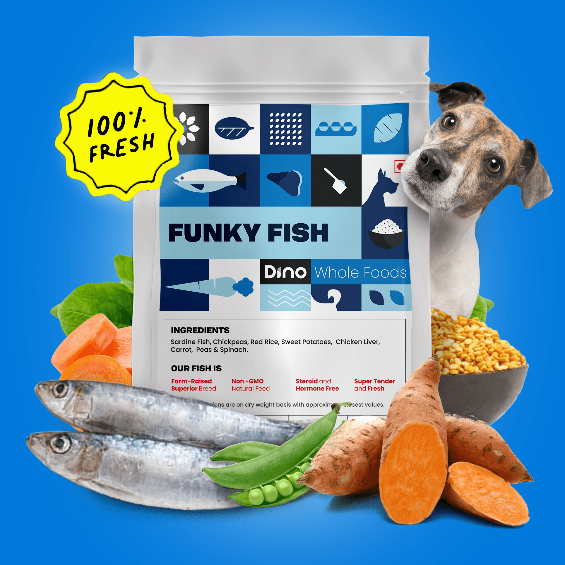 Funky Fish 