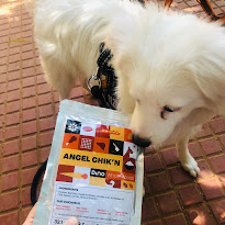 Customer Holding Dino Food