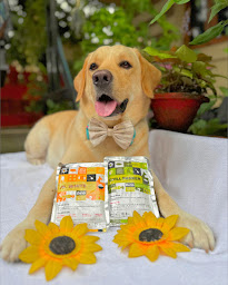 Customer Holding Dino Food