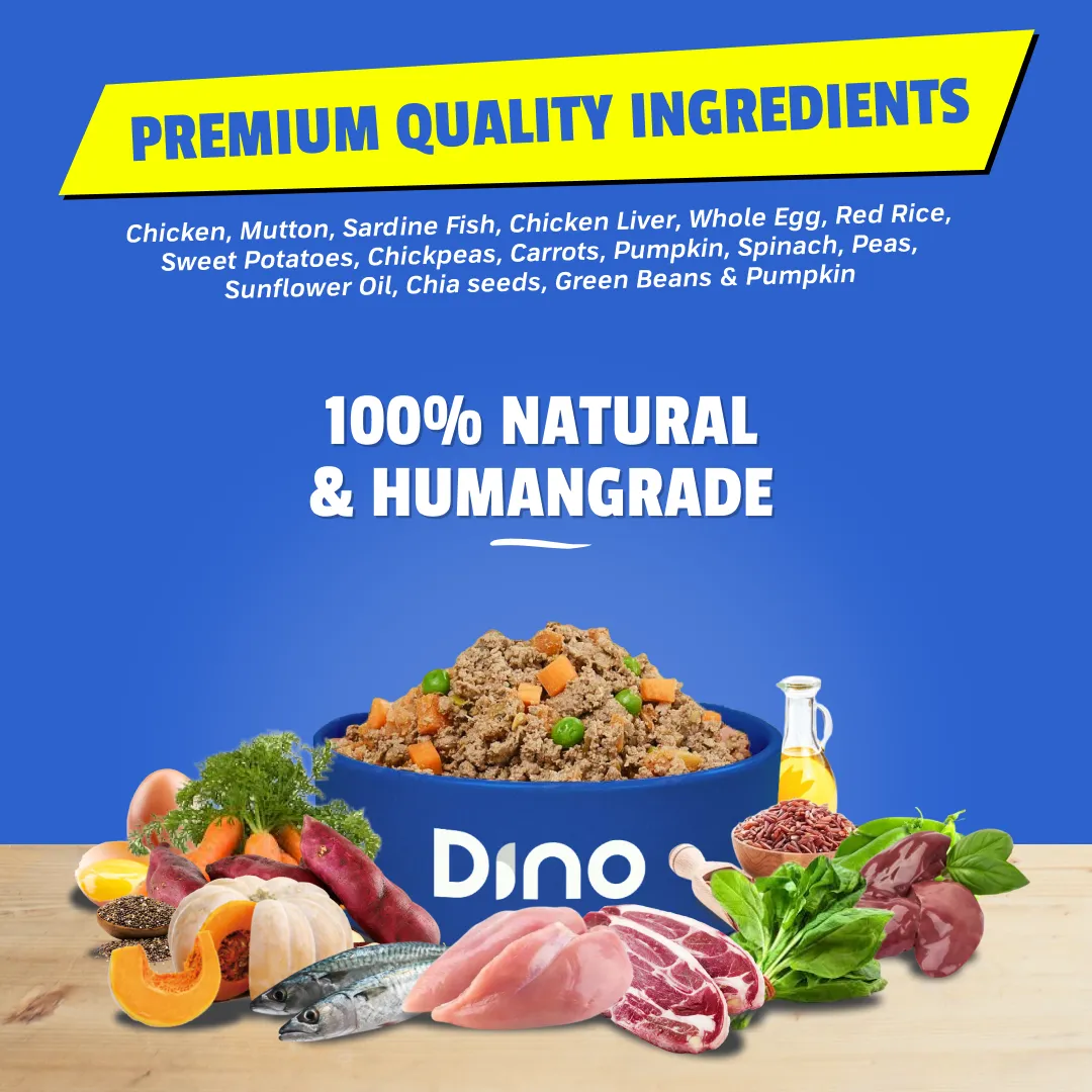 Fresh dog food ingredients including high-quality meats, vegetables, and superfoods like chia seeds and hemp seeds. Healthy, natural ingredients for a nutritious dog diet.