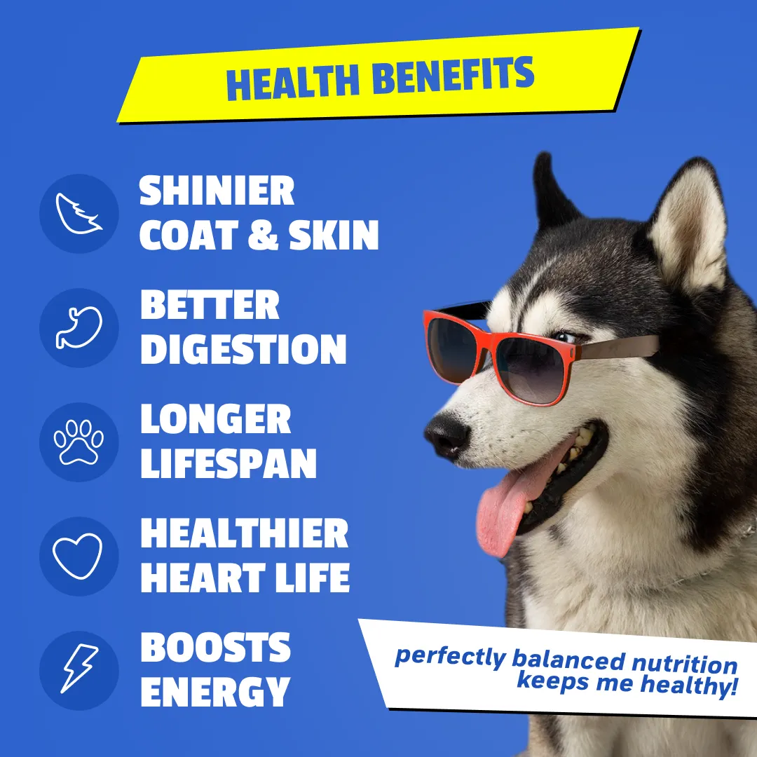 Fresh dog food helps dogs live longer by providing a healthy diet with natural ingredients. Nutritious, preservative-free dog food supports a healthy dog lifestyle and overall well-being