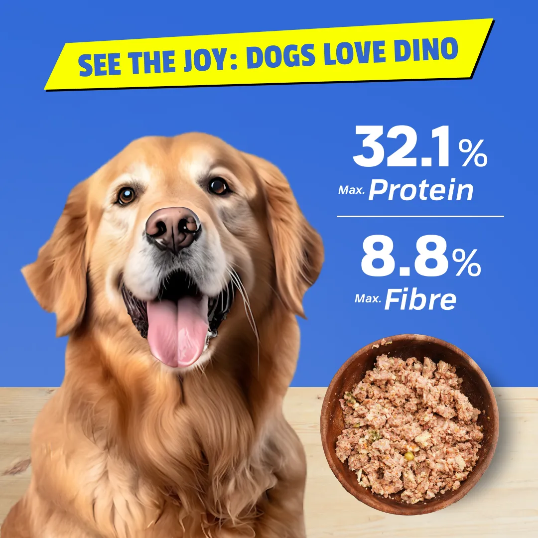 Fresh dog food ingredients including high-quality meats, vegetables, and superfoods like chia seeds and hemp seeds. Healthy, natural ingredients for a nutritious dog diet.