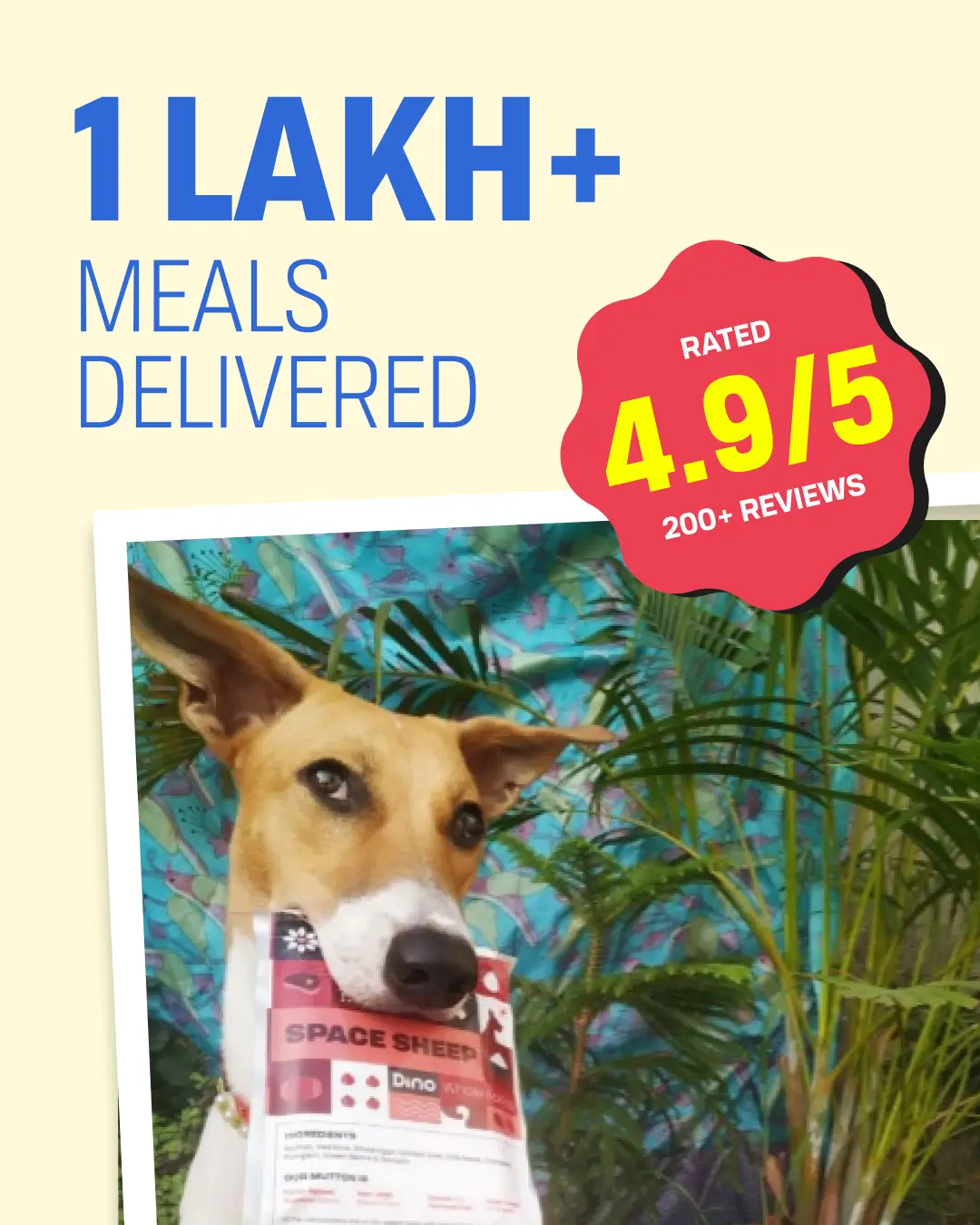 Fresh Dog Food Delivery Pan India