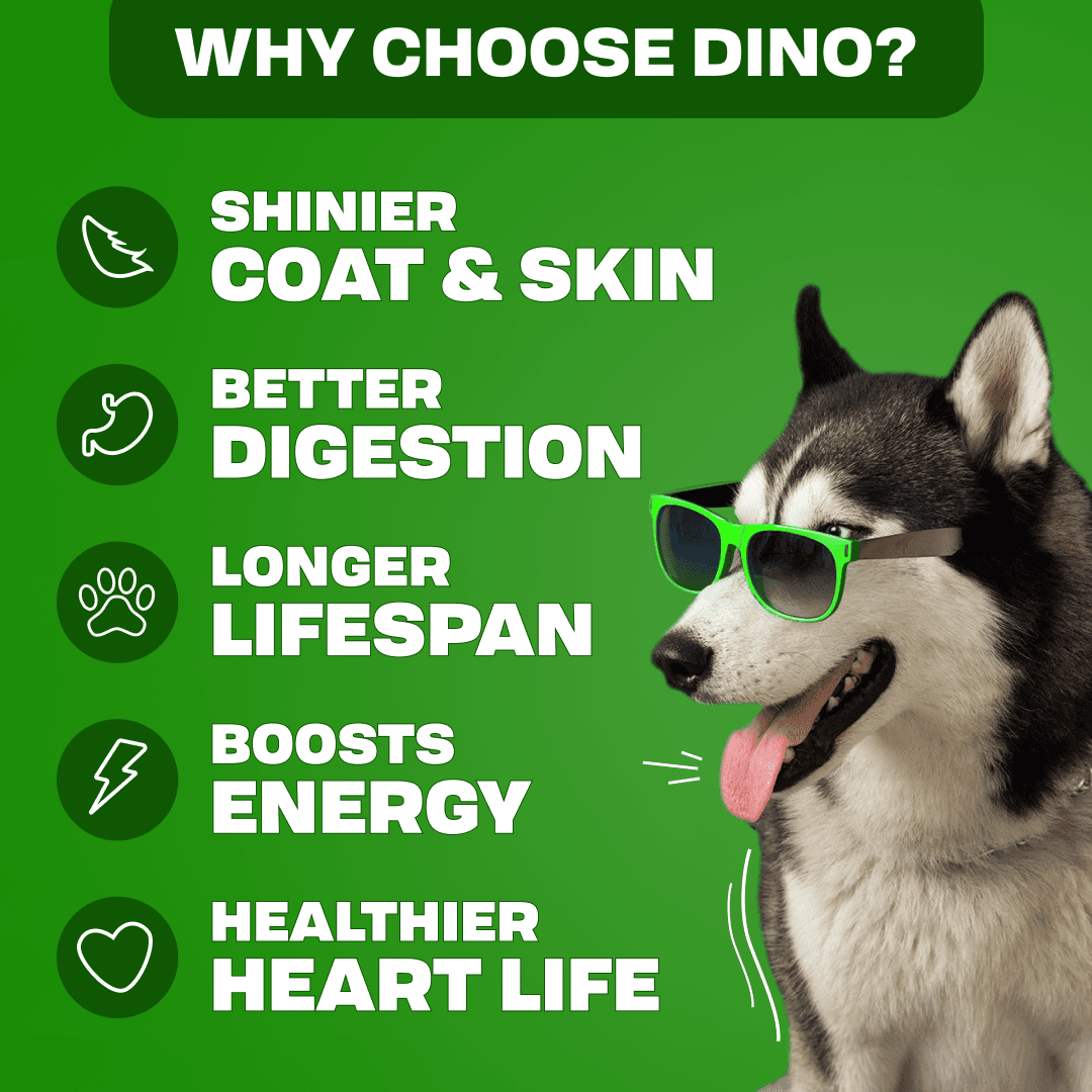 Chill Paneer - Chicken, Liver, Red Rice, Chia Seeds, Spinach, Pumpkin from Farm fresh sources in dog food for pets