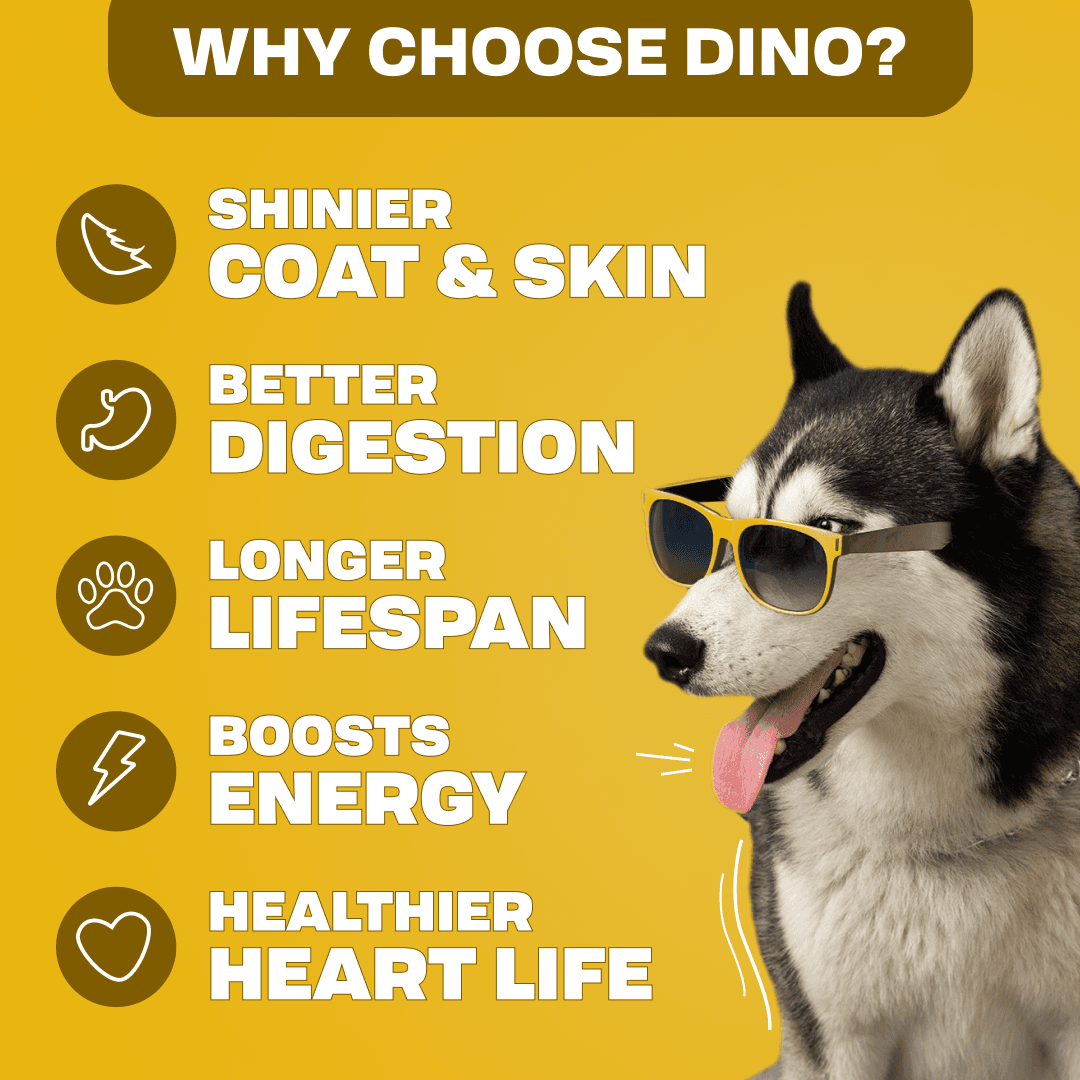 Jr. White - Egg, Red Rice, Chia Seeds, Spinach, Pumpkin from Farm fresh sources in dog food for pets