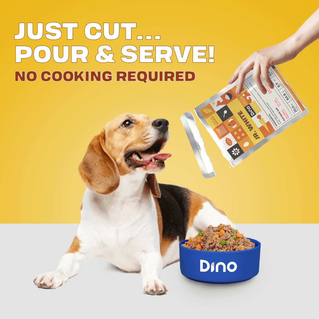 Jr. White - High Protein, Low Fat and High Fiber healthy best pet food for dogs